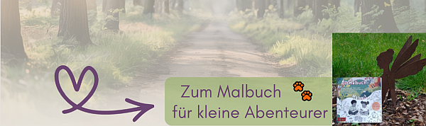 Heller Waldweg mit Bäumen und Sonnenstrahlen – Naturaufnahme mit leichter Morgenstimmung inspiriert vom Ausmalbuch Mira Sonnentrail für Kinder und Erwachsene
